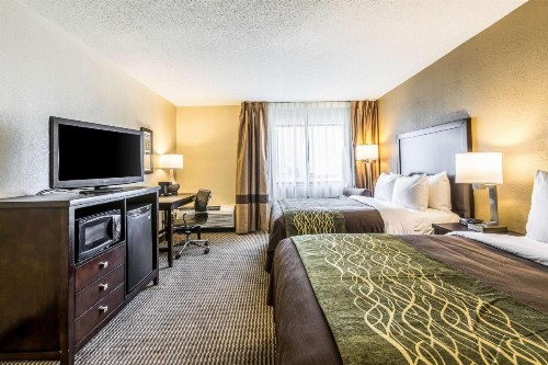 Comfort Inn Downtown Detroit - image 9