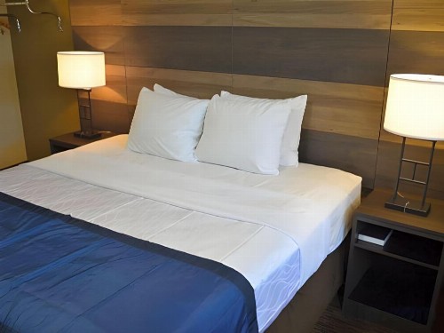 Baymont by Wyndham Downtown Detroit - image 30