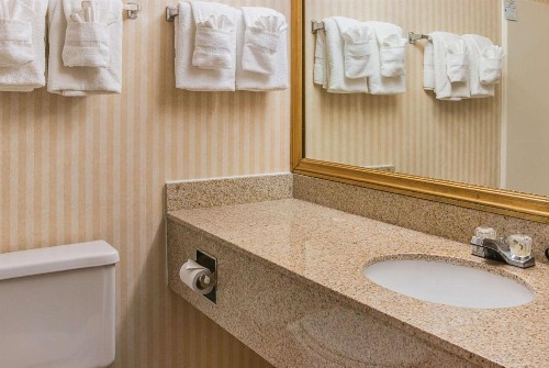 Quality Inn & Suites Detroit Metro Airport - image 15