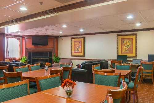 Quality Inn & Suites Detroit Metro Airport - image 7