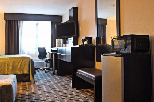 Quality Inn & Suites Detroit Metro Airport - image 8