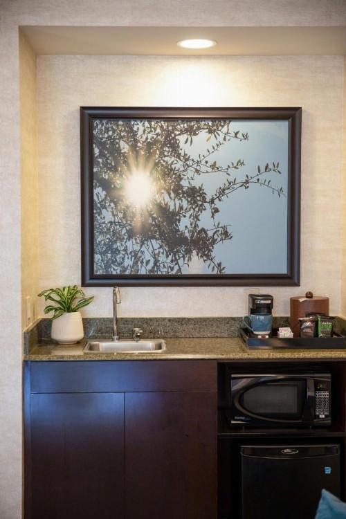 Ayres Suites Diamond Bar - image 13