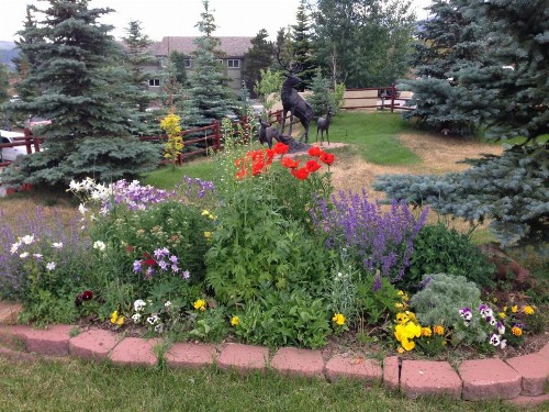 Dillon Inn - image 21