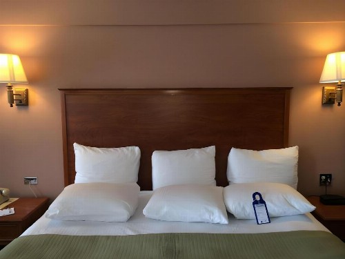 Best Western Ptarmigan Lodge - image 26