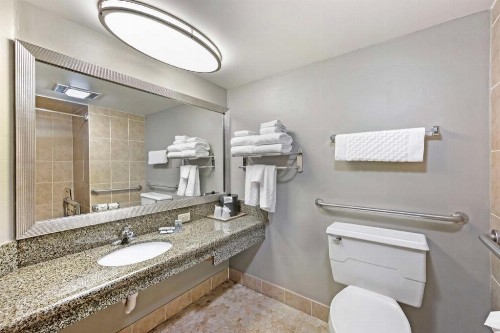 Best Western Ptarmigan Lodge - image 50