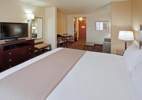Holiday Inn Express Hotel & Suites Dinuba West an IHG Hotel - image 13