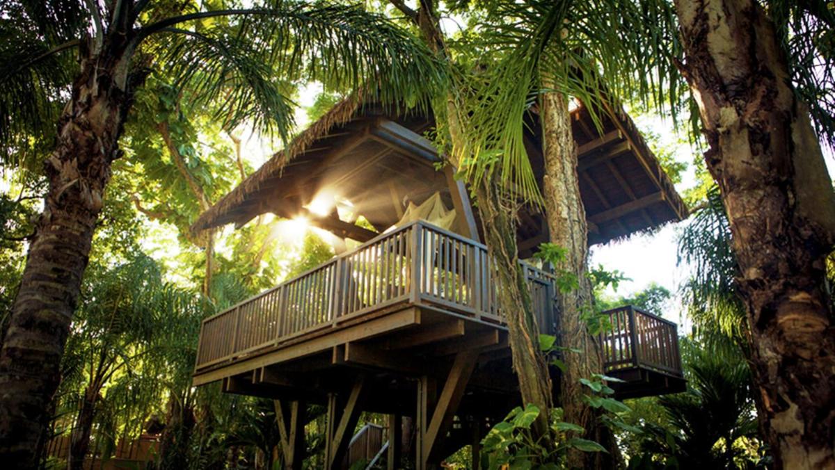 Residences at Dorado Beach a Ritz Carlton Reserve - image 7