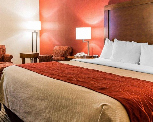 Comfort Inn Boston - image 11