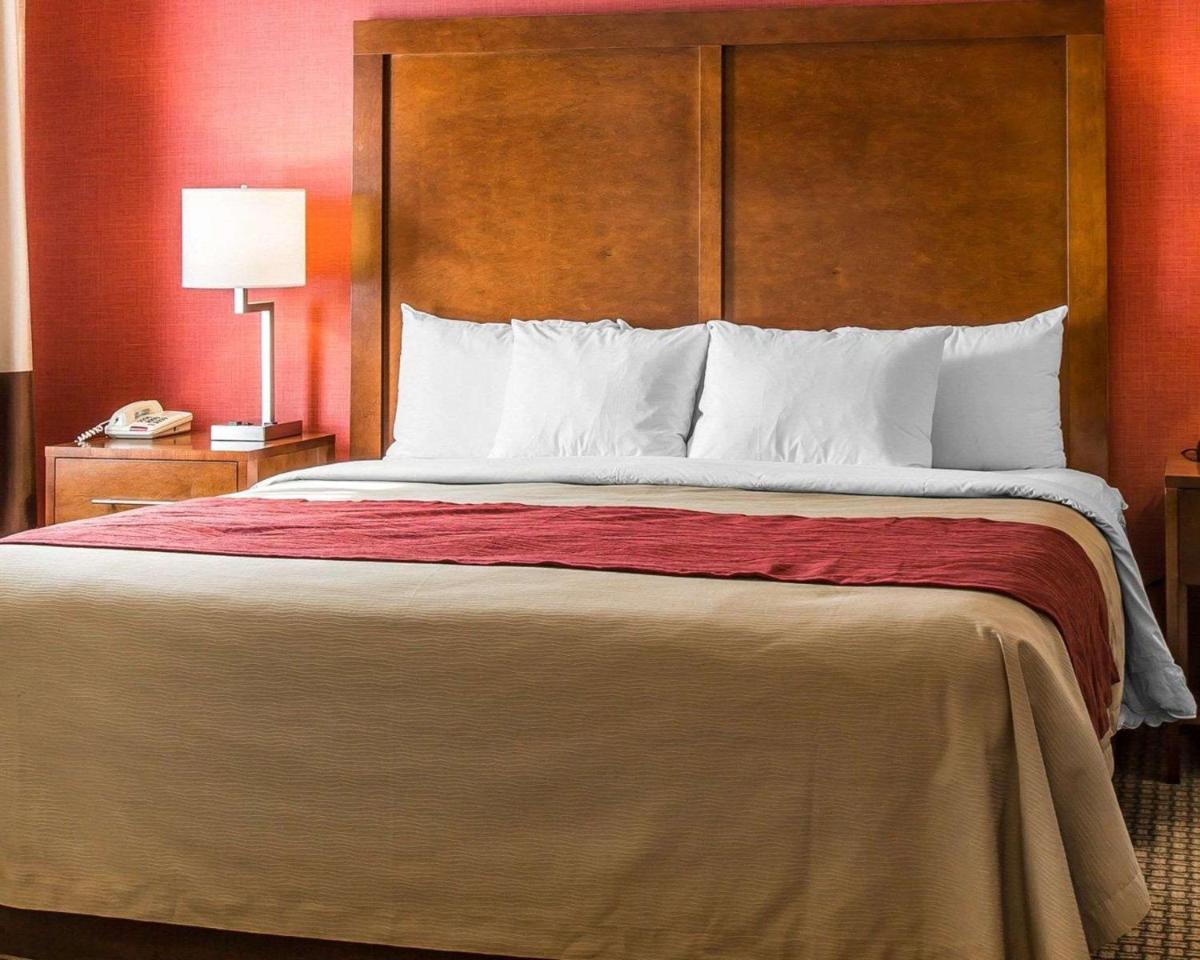 Comfort Inn Boston - image 7
