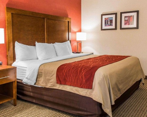 Comfort Inn Boston - image 8
