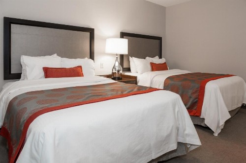 Ramada by Wyndham Boston - image 13