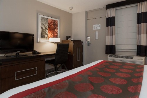 Ramada by Wyndham Boston - image 9