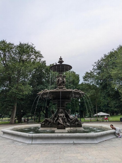 Boston Homestel - image 19