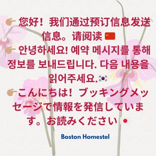 Boston Homestel - image 22