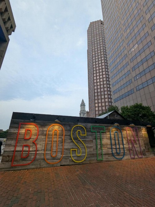 Boston Homestel - image 31