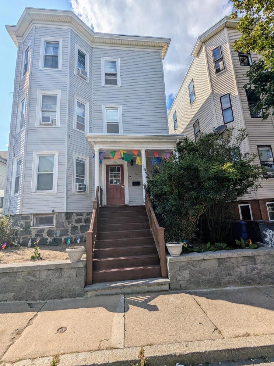 Boston Homestel - image 7