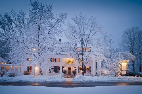 The Dorset Inn - image 6