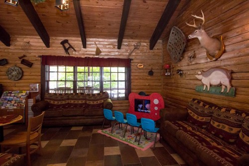 Richmond North / Kings Dominion KOA - image 12