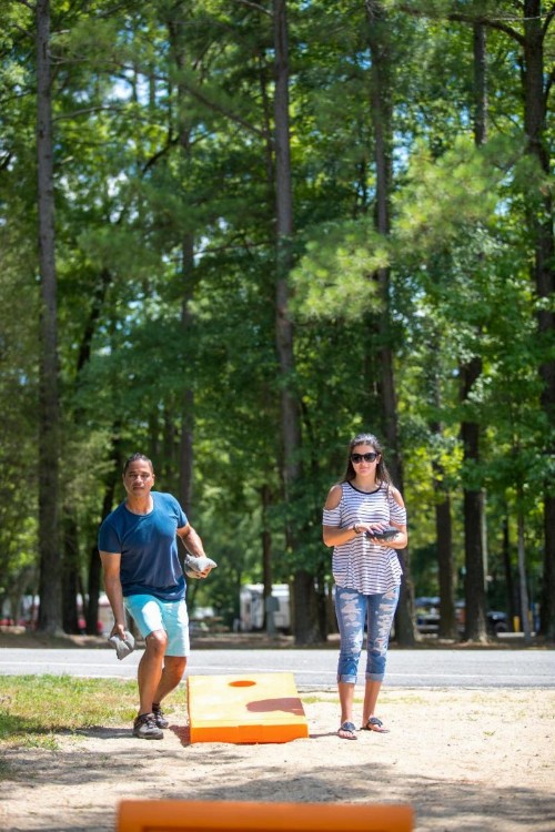 Richmond North / Kings Dominion KOA - image 9