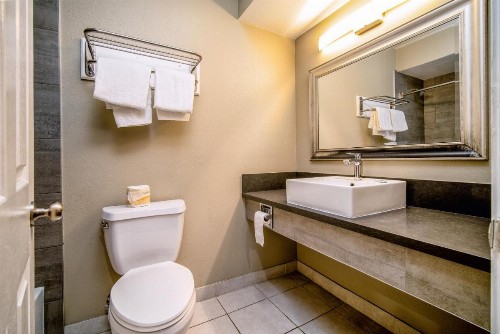 Regency Inn & Suites Downey - image 3