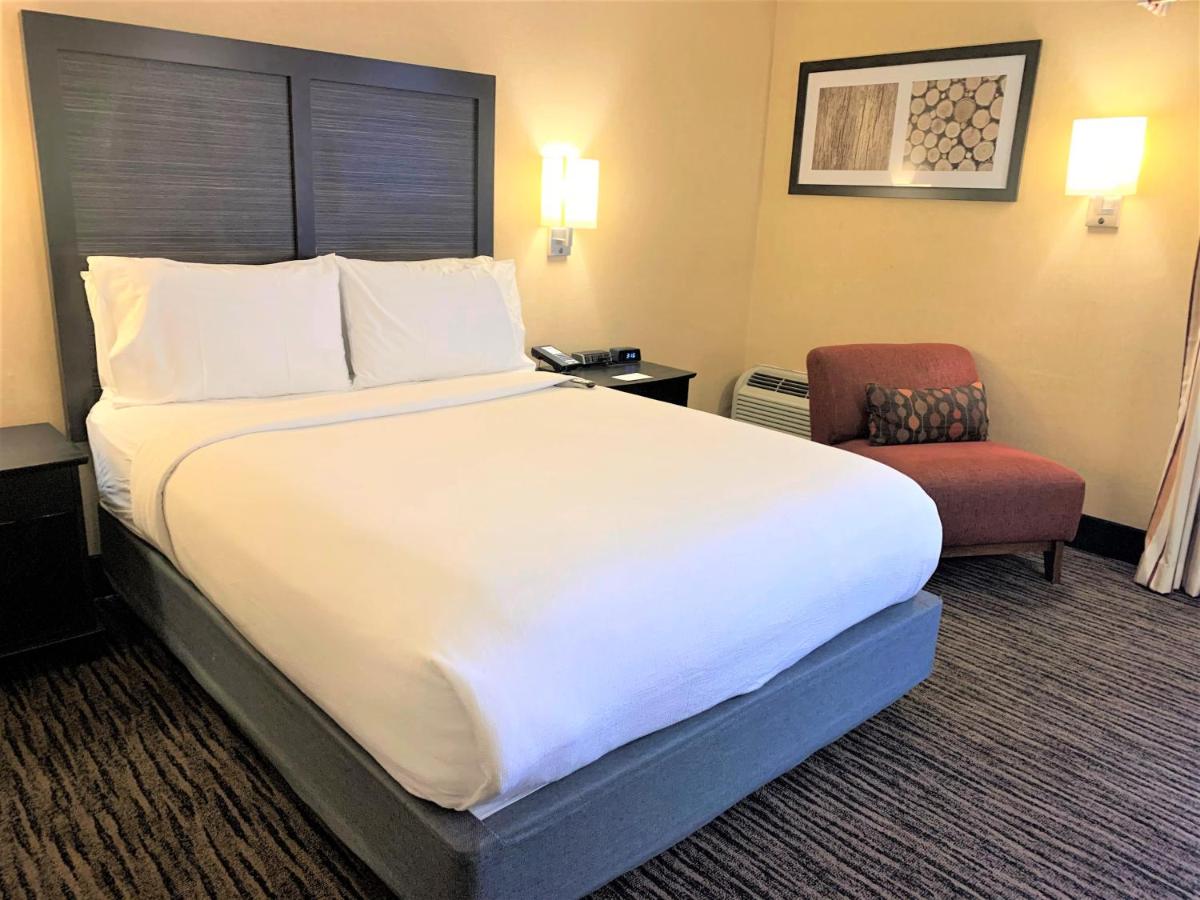 Holiday Inn Dublin - Pleasanton an IHG Hotel - image 2