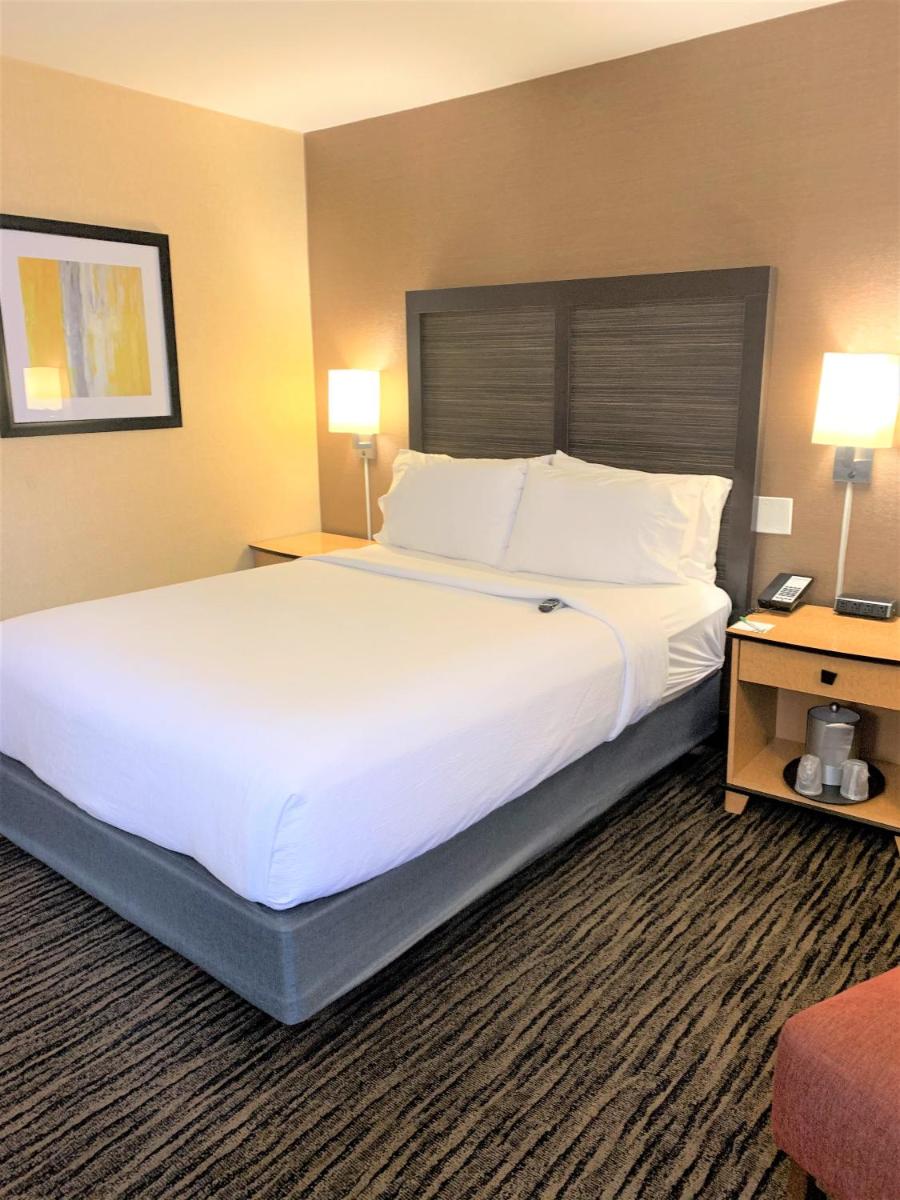 Holiday Inn Dublin - Pleasanton an IHG Hotel - image 3