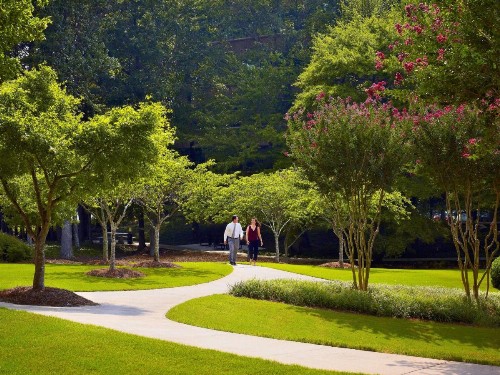 Sonesta Hotel Gwinnett Place Atlanta - image 13