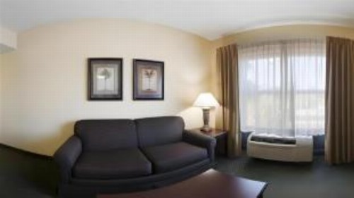 Holiday Inn Express Hotel & Suites Clearwater North/Dunedin - image 19