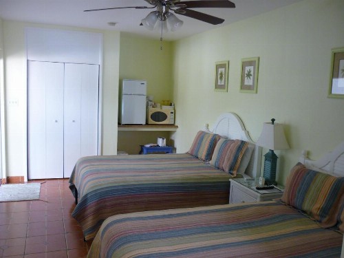Palm Court Motel - image 10