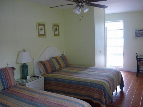 Palm Court Motel - image 2