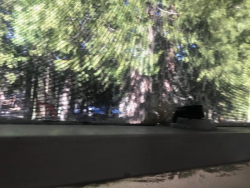 Dunsmuir Lodge - image 44