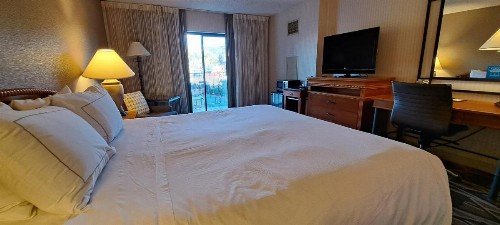 DoubleTree by Hilton Durango - image 48