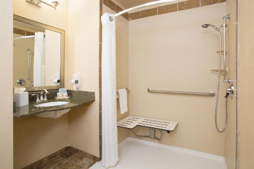 Holiday Inn Hotel & Suites Durango Central an IHG Hotel - image 44