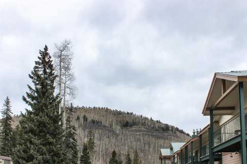 Purgatory Townhome - image 9