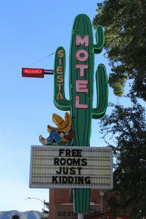 Siesta Motel - image 21