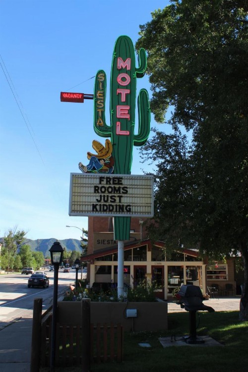Siesta Motel - image 3
