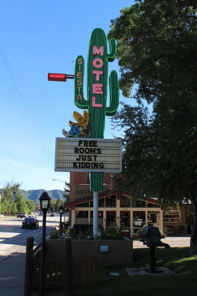 Siesta Motel - image 3