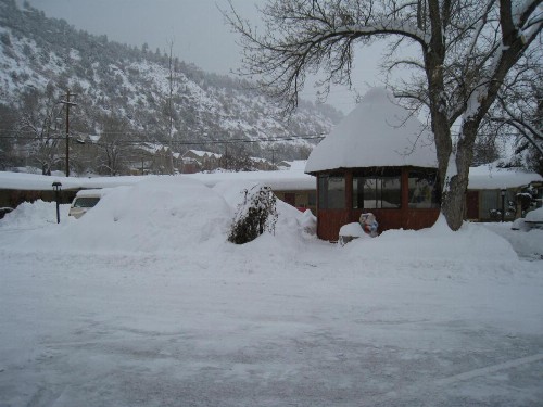 Siesta Motel - image 4