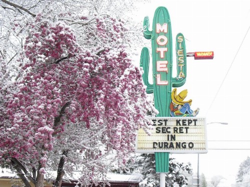 Siesta Motel - image 5