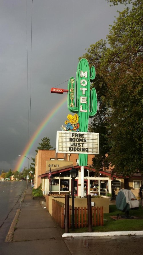 Siesta Motel - image 6