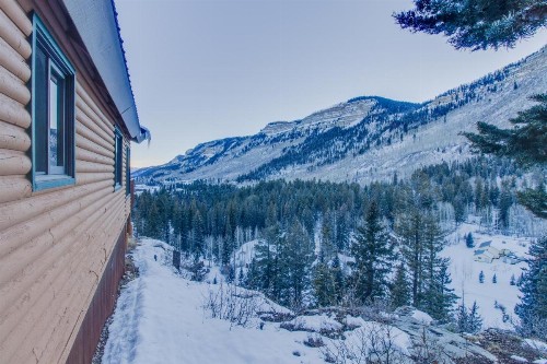 Primrose Cabin - image 4