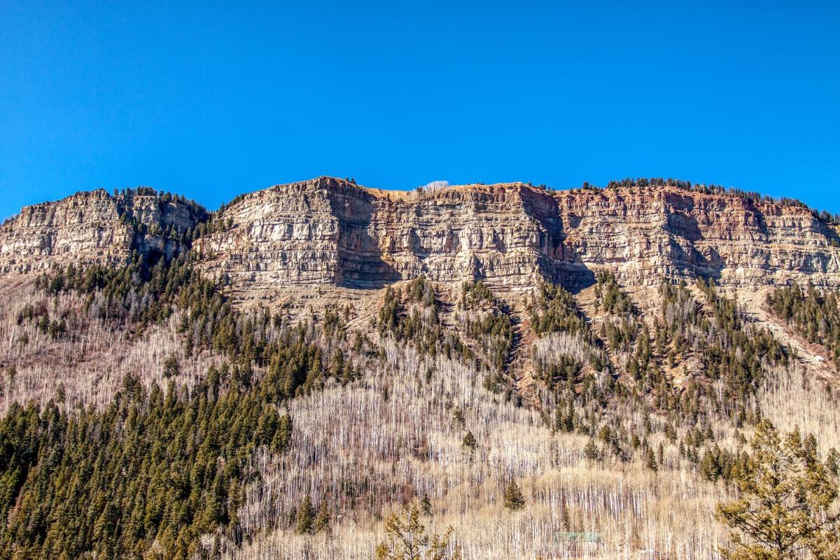 Primrose Cabin - image 7