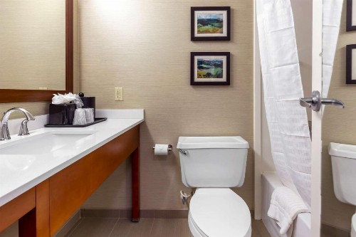 Comfort Inn University Durham – Chapel Hill - image 18