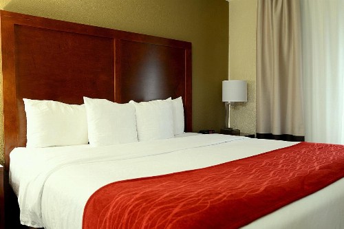 Comfort Inn University Durham – Chapel Hill - image 2