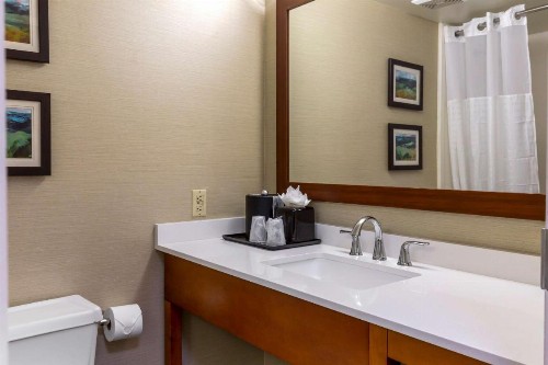 Comfort Inn University Durham – Chapel Hill - image 26