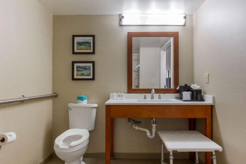 Comfort Inn University Durham – Chapel Hill - image 30
