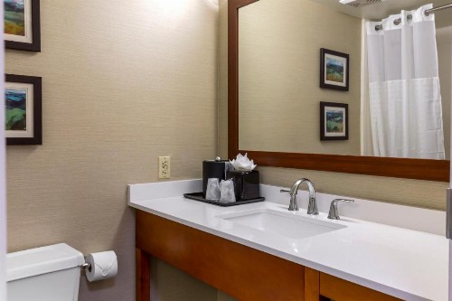 Comfort Inn University Durham – Chapel Hill - image 35