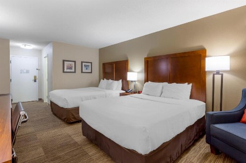 Comfort Inn University Durham – Chapel Hill - image 4