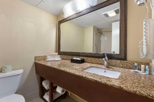 Comfort Inn Research Triangle Park - image 5