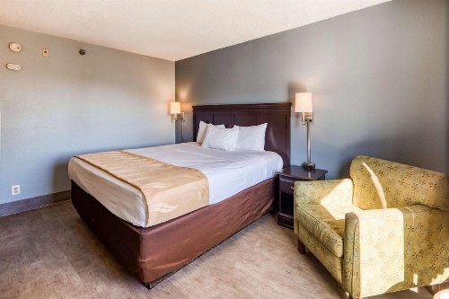 Quality Inn & Suites Medical Park - image 10